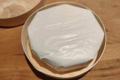 Cashewrella-Vamembert