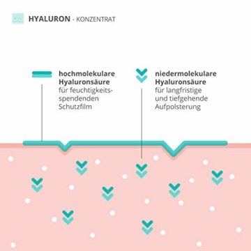 Hyaluronsäure Serum hochdosiert - Testsieger 2020 - Natürliche Hyaluron Anti-Aging Creme für das Gesicht - 50ml von colibri cosmetics - Naturkosmetik Made in Germany - 6
