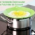 Kochblume - das Original vom Erfinder Armin Harecker L 29 cm Limette | Überkochschutz für Topfgrößen von Ø 14 bis 24 cm | mit Frischhaltedeckel gratis - 2