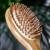 pandoo Bambus Haarbürste mit Naturborsten - Vegan, umweltfreundlich - Natur-Bürste mit Bambusborsten für natürlich schöne Haare für Männer, Frauen & Kinder - Detangler - 8
